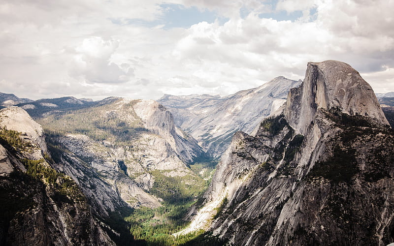 Yosemite Valley, summer, forest, mountains, Yosemite National Park, Sierra Nevada, USA, America, HD wallpaper