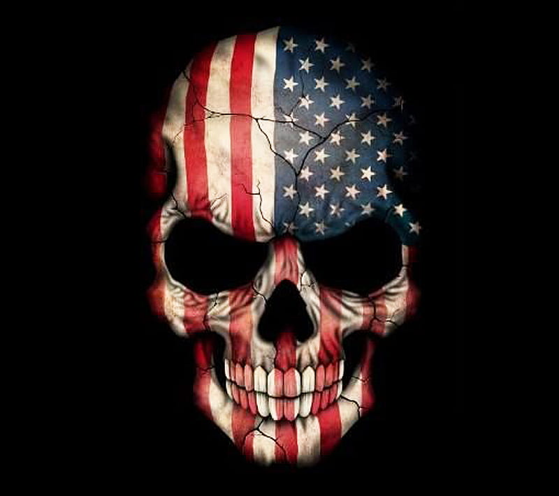 US skull, sds, HD wallpaper