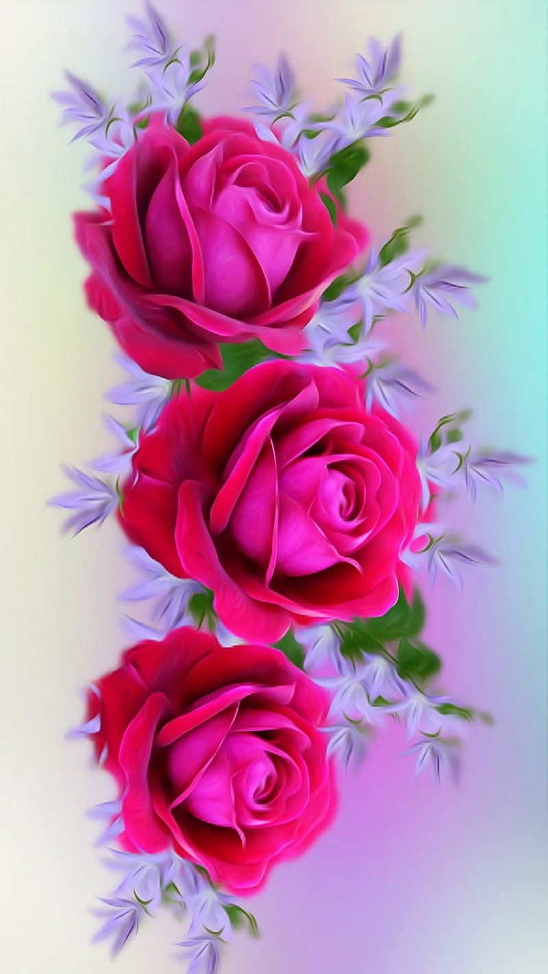 Gulab Ka Phool, Pink Flower, HD phone wallpaper