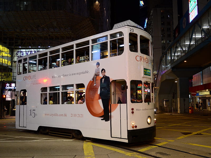Amazing tram, tram, graphy, quality, transport, double-decker, white, street, HD wallpaper