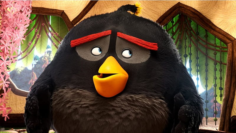 Bomb The Angry Birds Movie, HD Wallpaper | Peakpx