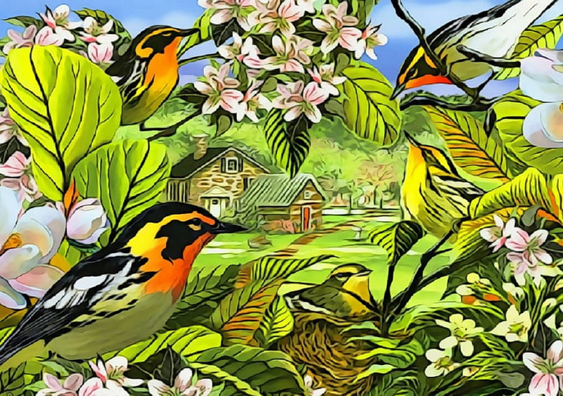 ★Blackburnian Warblers★, lovely, colors, love four seasons, birds, bonito, spring, creative pre-made, seasons, paintings, lovely flowers, drawings, animals, HD wallpaper