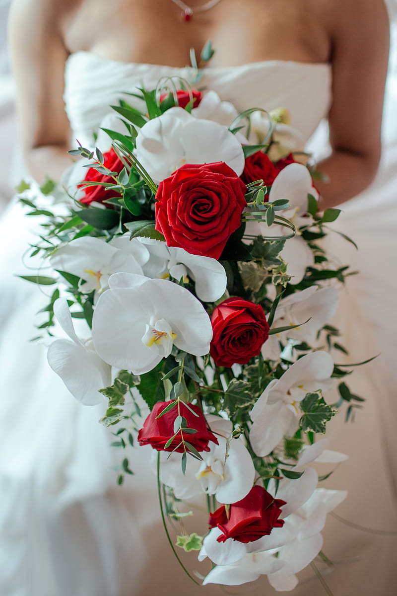 red rose and white orchid bouquet, HD phone wallpaper