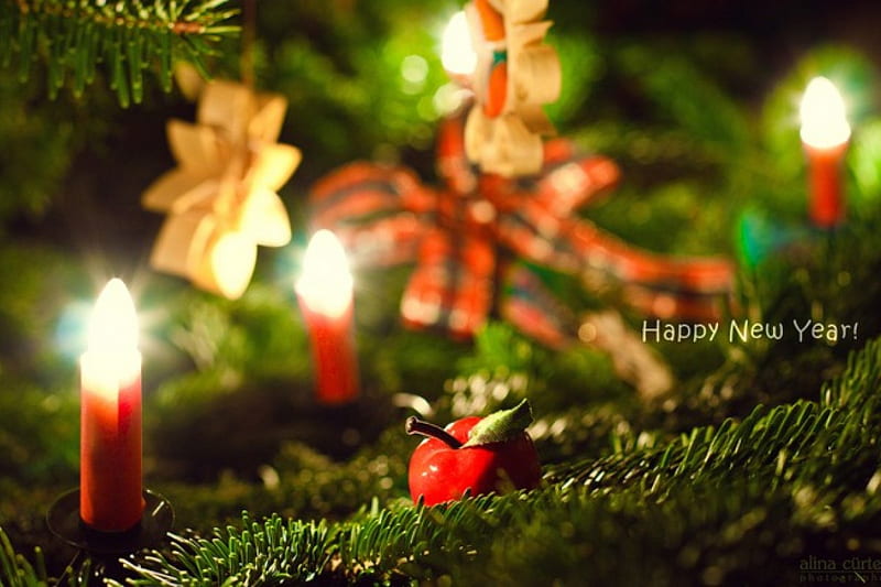 Happy New Year, pretty, holidays, glasses, bonito, magic, xmas, 2013, graphy, cheers, magic christmas, party, beauty, happy holidays, lovely, holiday, christmas, wine, new year, glass, merry christmas, champagne, HD wallpaper