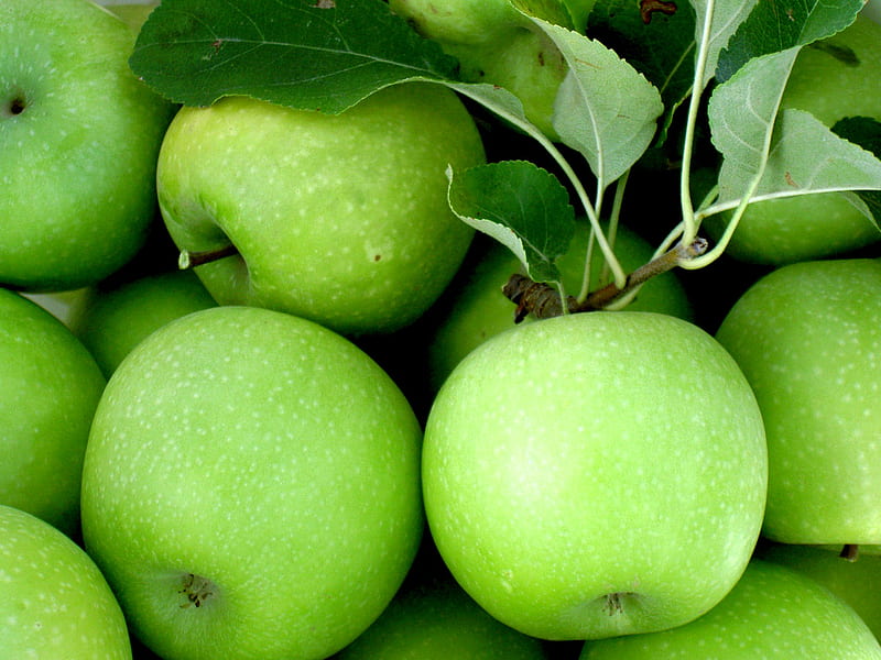 Apples, apple, green apples, green, HD wallpaper