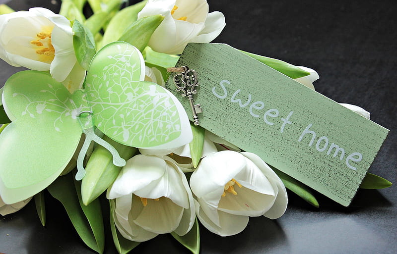 sweet home, key, shield, cool, butterfly, green, flowers, tulips, HD wallpaper