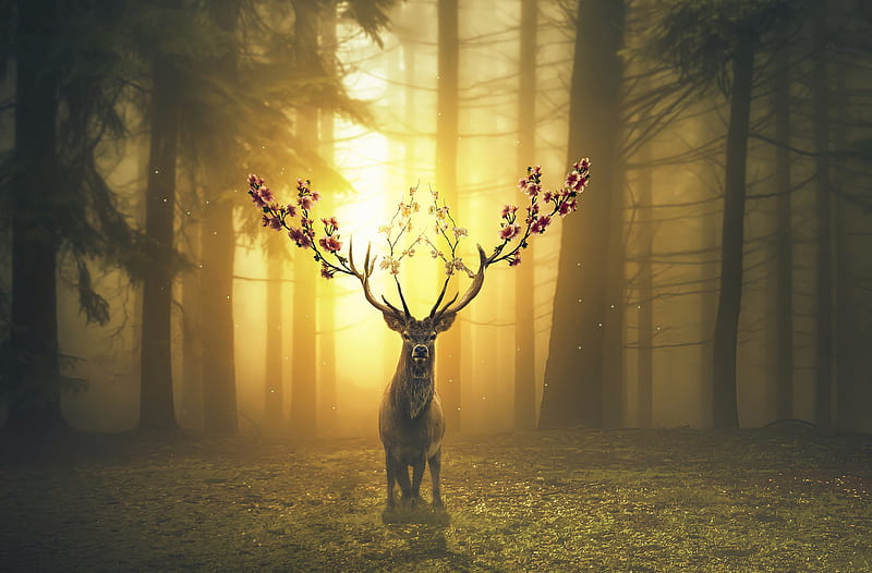 deer, flowers, horns, forest, autumn, surrealism, Animal, HD wallpaper