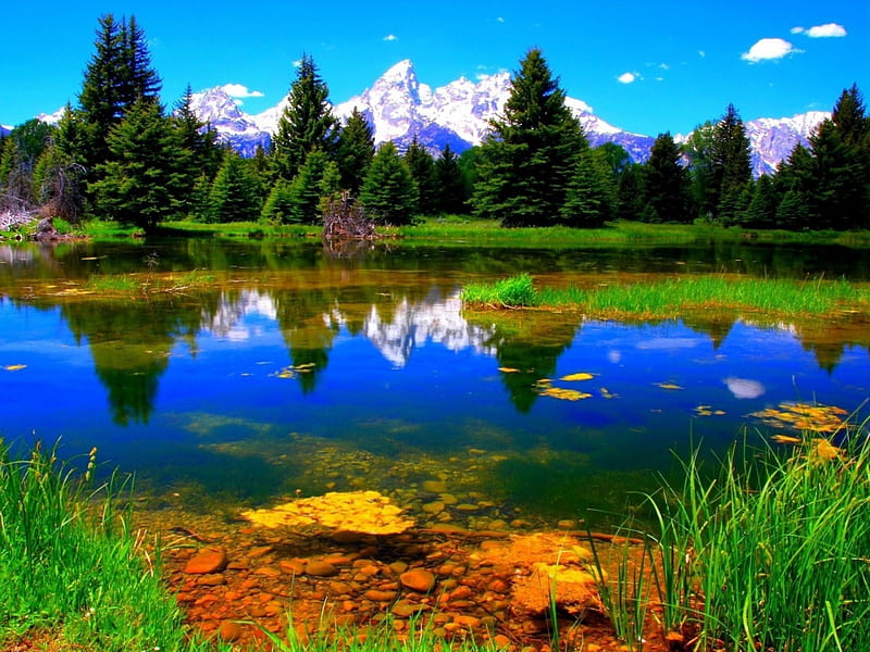 Beautiful Tropical Mountain, Tropical, pond, Mountains, water, bonito, pine trees, HD wallpaper