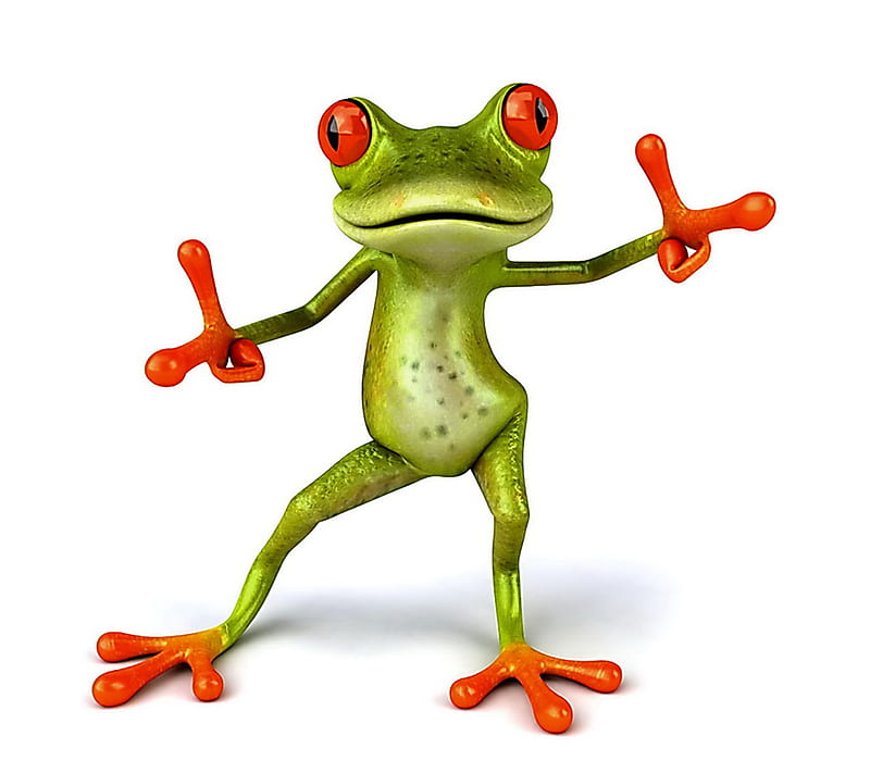 Lets Dance, frog, funny, HD wallpaper