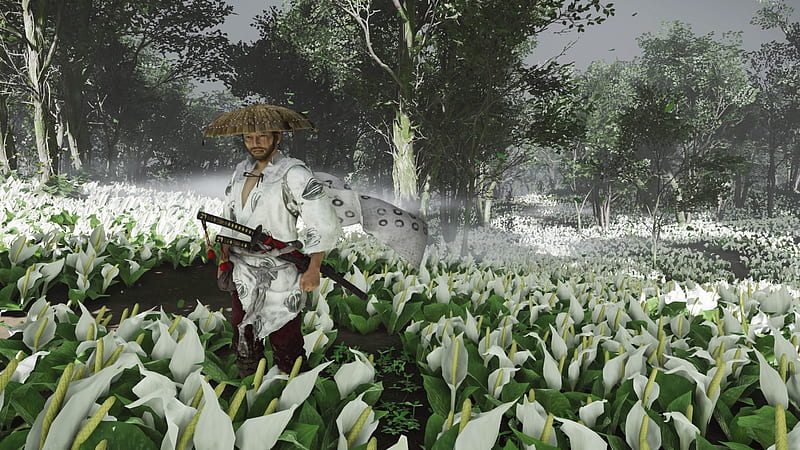 Video Game, Ghost of Tsushima, Jin Sakai, Katana, HD wallpaper