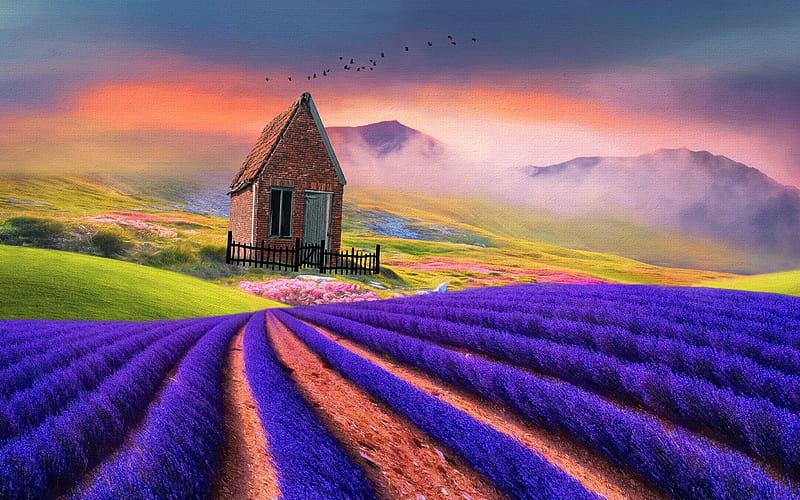 lavender, field, house, mountains, birds, 3D, HD wallpaper