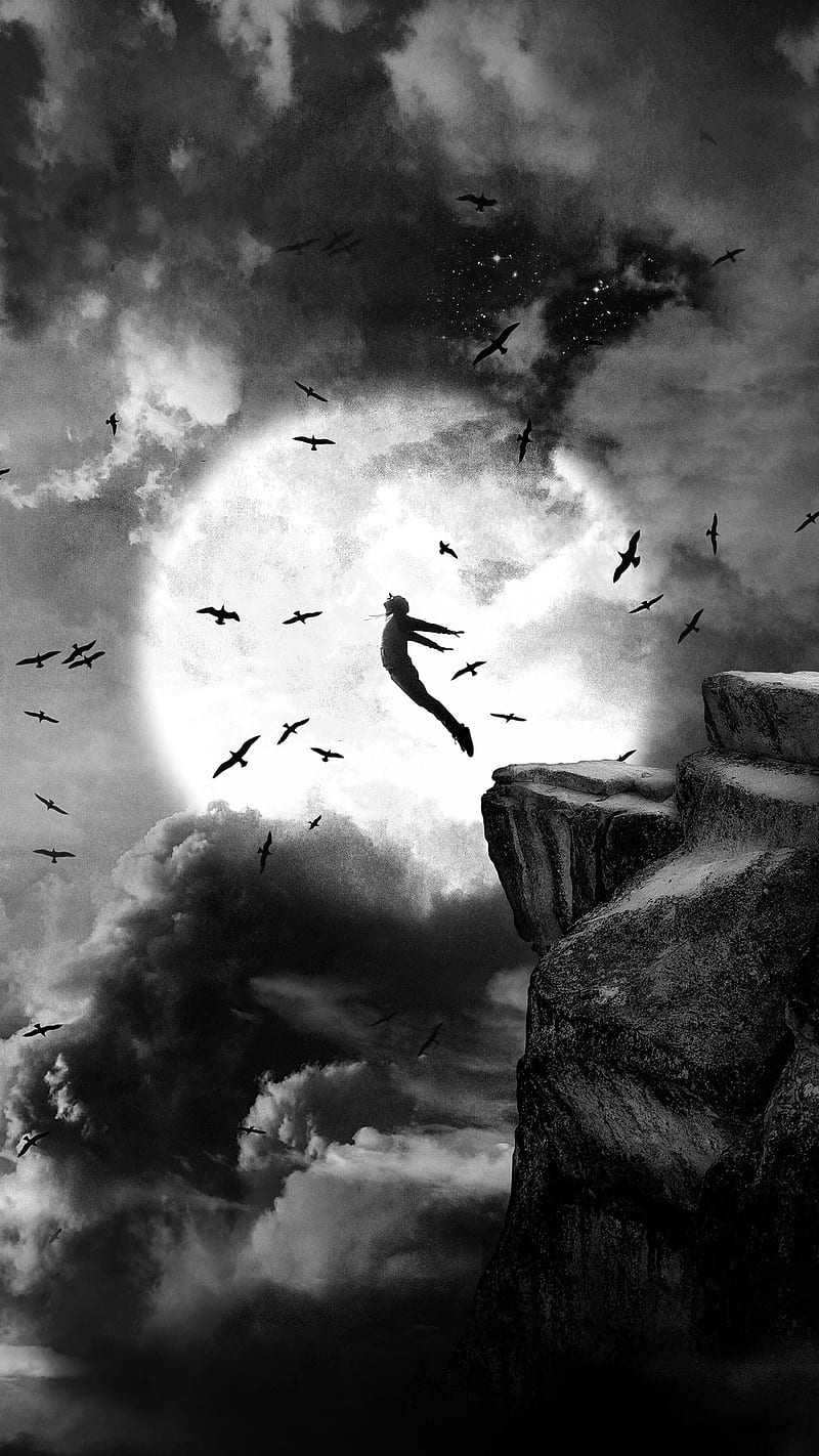 falling=flying, Circlestances, birds, black and white, clouds, dark, drama, dramatic, moon, silhouette, sky, sun, surreal, HD phone wallpaper