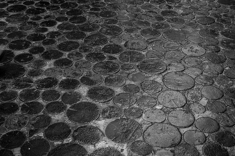 Grayscale of Water Droplets on Ground, HD wallpaper
