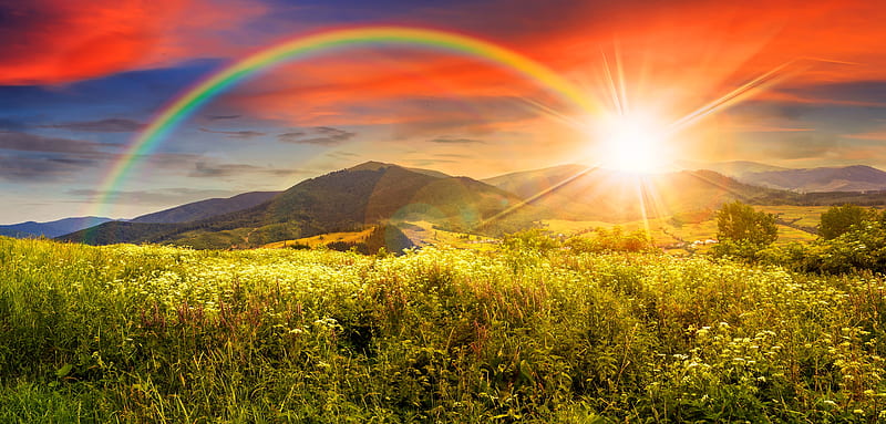 Wild flowers on meadow in mountains in sunset light with rainbow, colorful, amazing, glow, dazzling, bonito, sunset, rainbow, sky, mountain, rays, wildflowers, rain, light, meadow, HD wallpaper