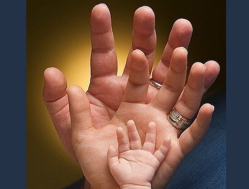 FAMILY, hands, rings, mother, baby, father, HD wallpaper