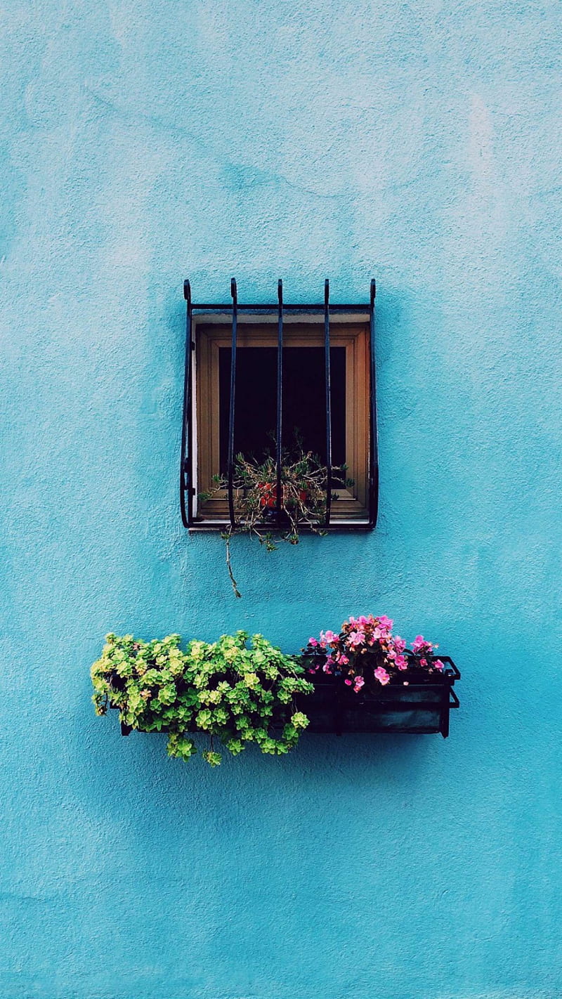 Blue wall, garden, home, luxury, scenery, summer, window, HD phone wallpaper