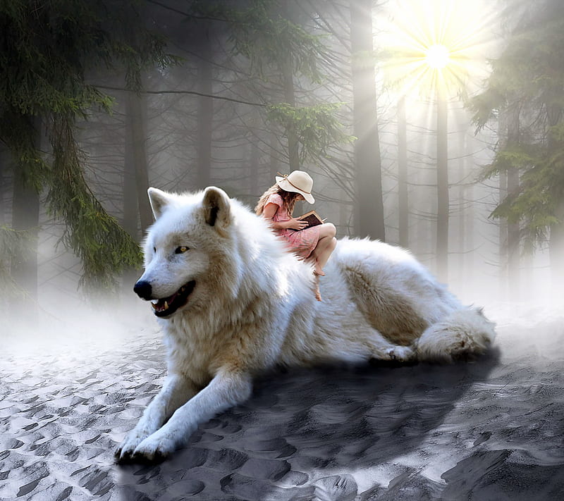 Wolves Forest, wolf, husky, white, puppy, dogs, cute, winter, lone, snow, HD wallpaper