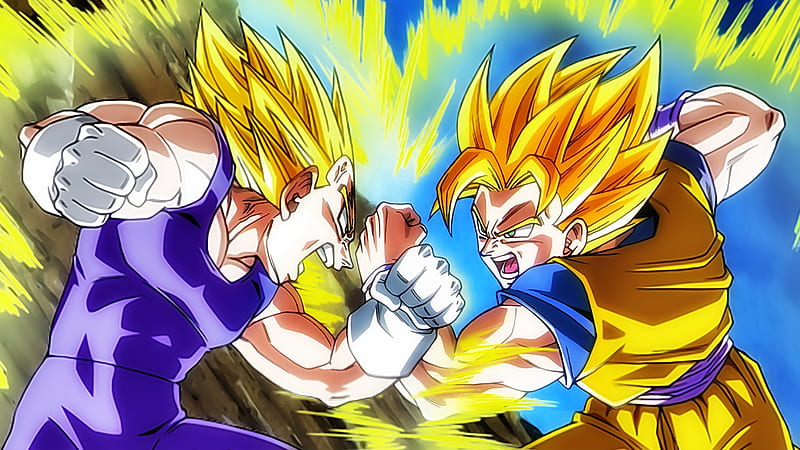 Goku and Vegeta, levels, dbz, saiyans, ssj1, HD wallpaper