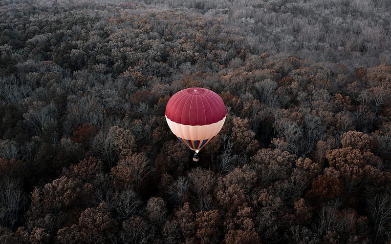 balloon, autumn forest, trees, morning, autumn, balloon over the forest, USA, HD wallpaper