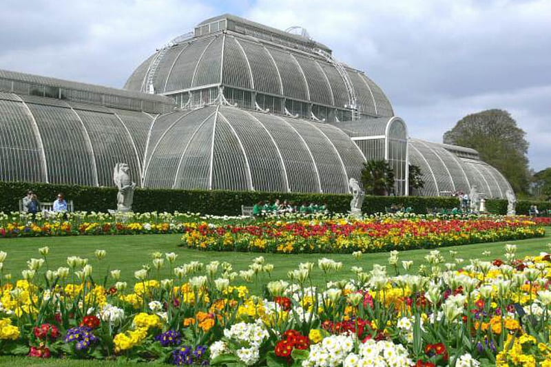botanical garden, conservatory, garden, botanical, london, HD wallpaper
