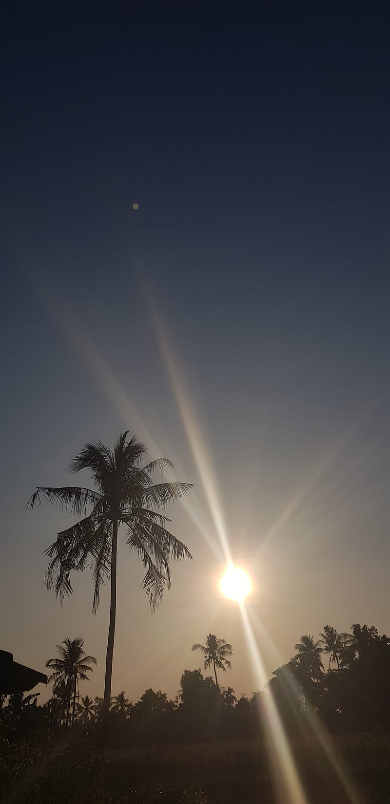 Mentari Pagi, sky, sunrise, alam, HD phone wallpaper