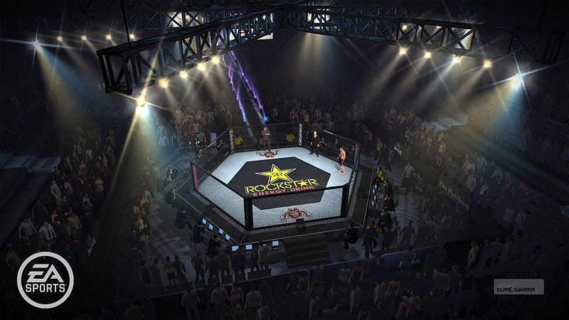 MMA Rockstar EA, ea sports, fight, ufc, energy, drink, game, artes marciales, mixtas, HD wallpaper