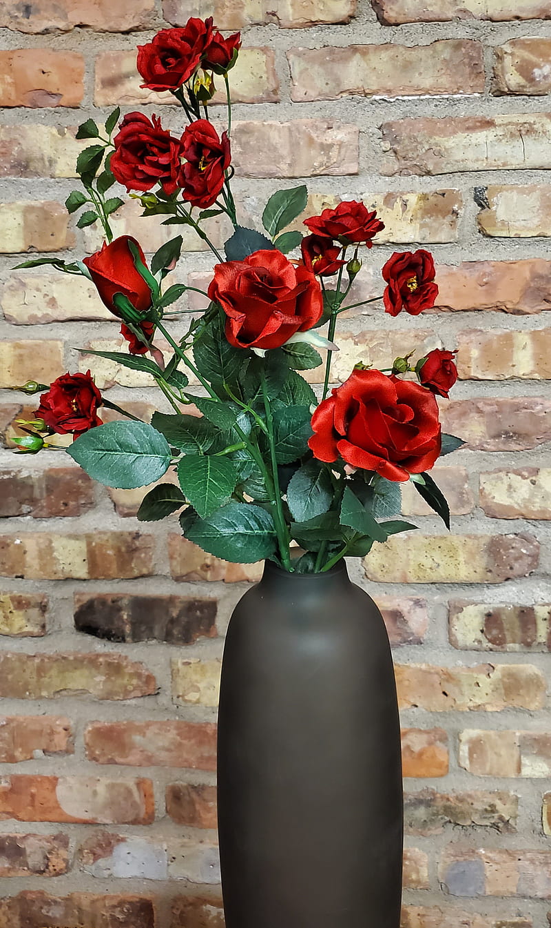 Flowers, black, bouquet, red, roses, vase, HD mobile wallpaper | Peakpx