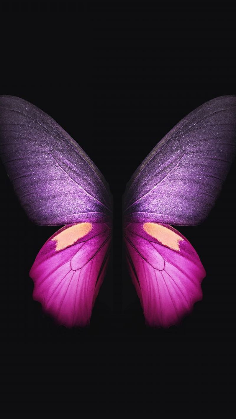 Animal , samsung galaxy fold, pink, butterfly, HD phone wallpaper