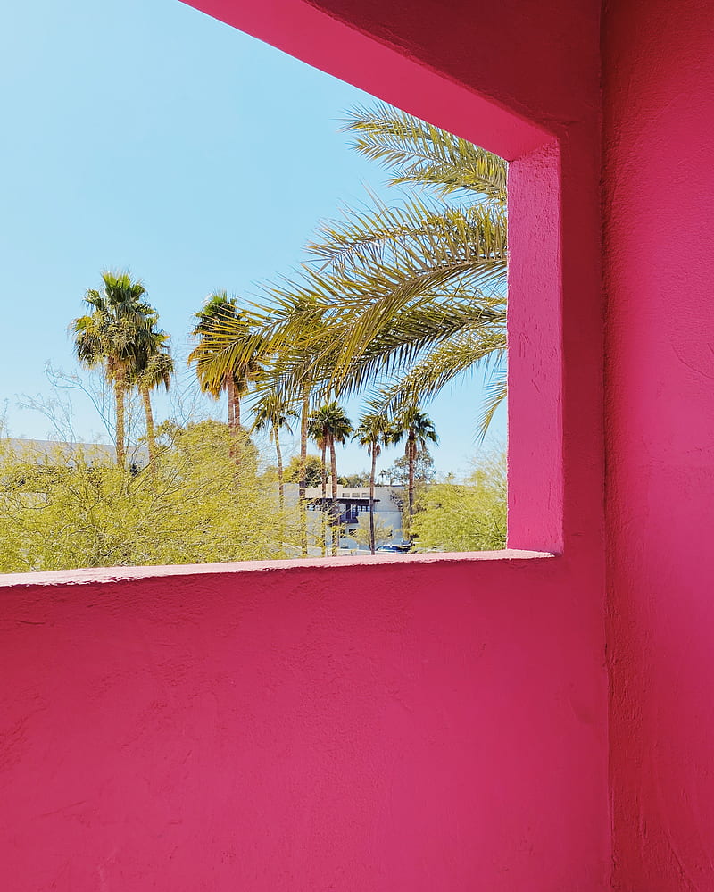 building, architecture, window, palm trees, tropics, pink, HD phone wallpaper