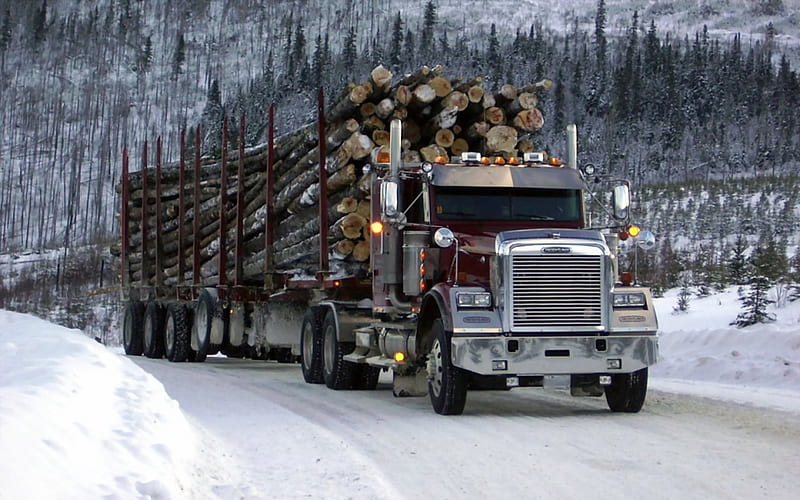 Heavy Haulin, truck, hauling logs, big rig, semi, HD wallpaper