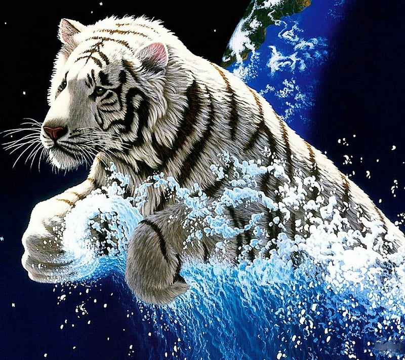 Tigre, agua, blanco, Fondo de pantalla HD | Peakpx