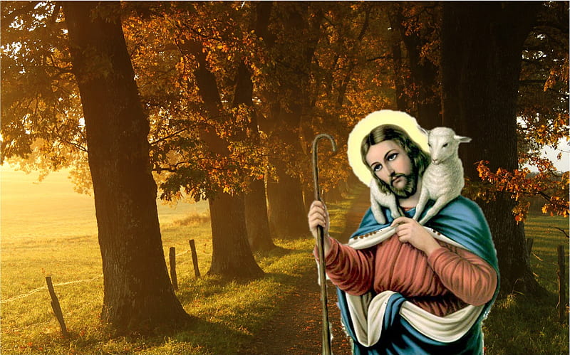 Jesus Good Shepherd, christ, sheep, jesus, nature, shepherd, HD ...