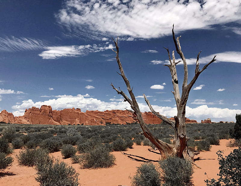 Moab, Utah, desert, sky, plants, landscape, clouds, HD wallpaper