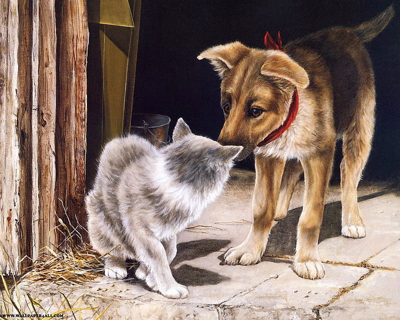 Getting To Know You, painting, sniffing, cat, puppy, HD wallpaper