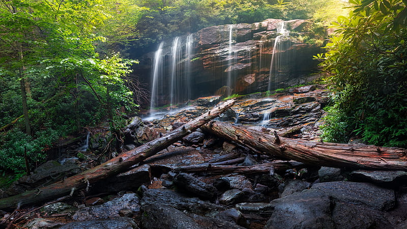 The Log Falls, forest, tree, creek, waterfalls, log, falls, HD wallpaper