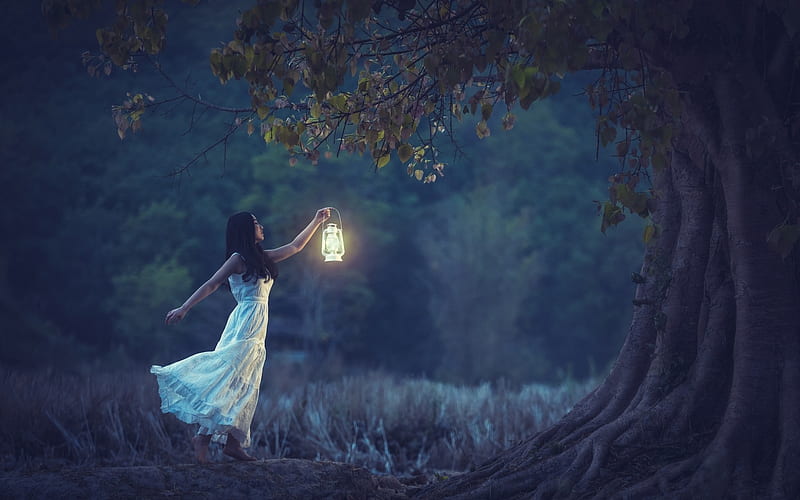 forest, lantern, model, woman, tree, girl, asian, white, blue, night, HD wallpaper