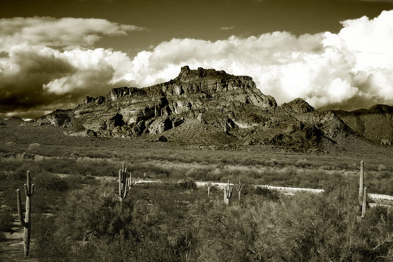 Red Mountain in Sepia, mountain, desert, saguaro, arizona, clouds, sky, cactus, landscape, HD wallpaper