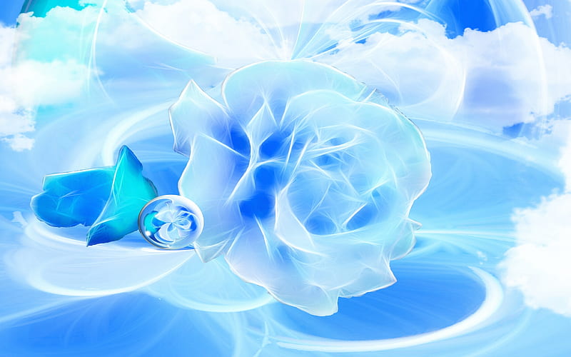 1000 Blue Rose Pictures  Download Free Images on Unsplash