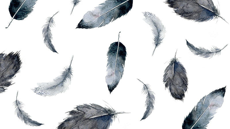Feathers, pattern, art, black, bw, feather, texture, paper, white, watercolor, HD wallpaper