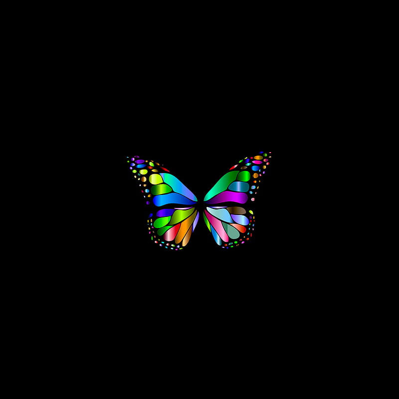 Colorful Butterfly, black, desenho, purple, wings, HD phone wallpaper