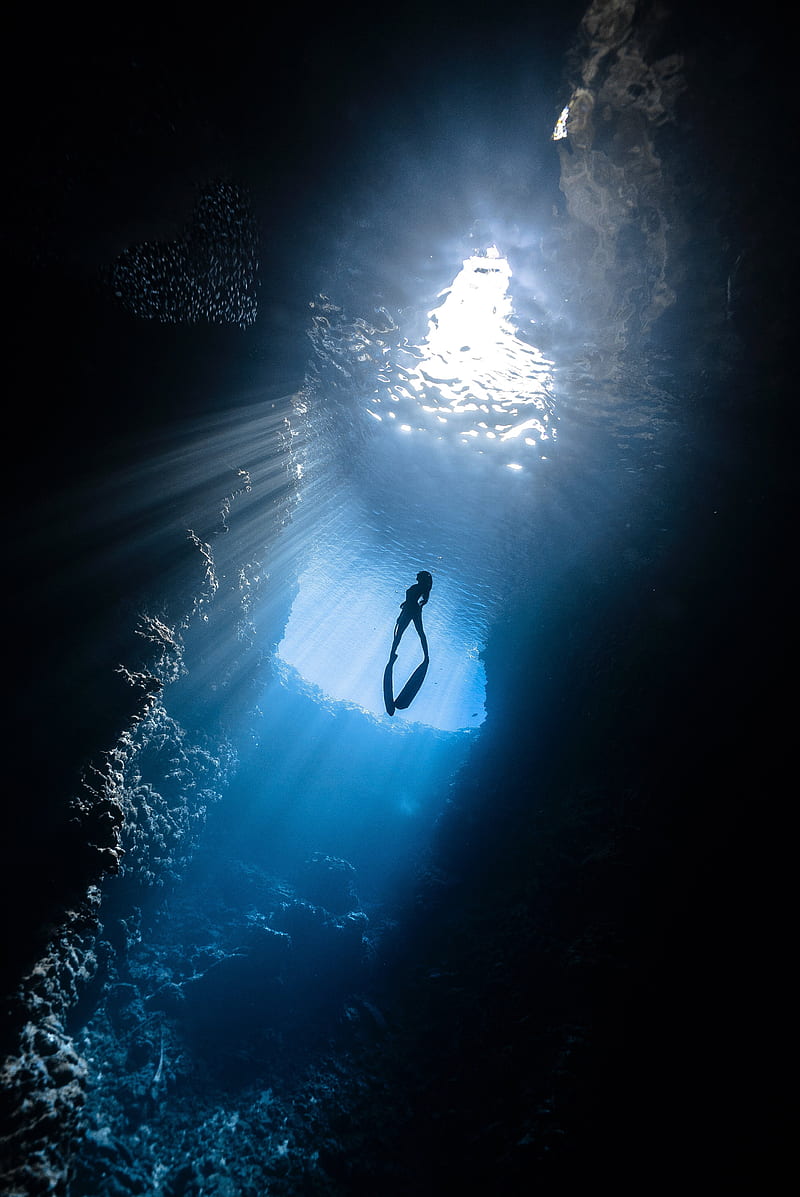 Scuba Diver Under Water, HD phone wallpaper