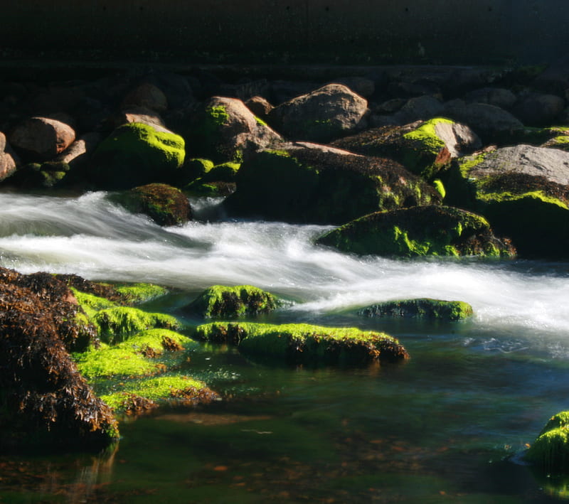 River Green, boulders, moss, rocks, stream, HD wallpaper