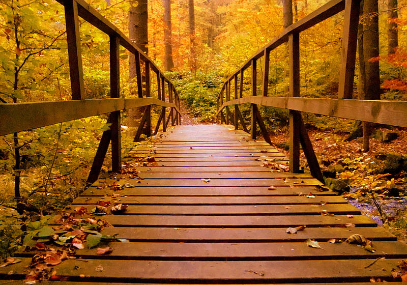 Wooden Bridge Forest Autumn Leaves, autumn, wood, wooden, bridge, forest, leaves, nature, HD wallpaper