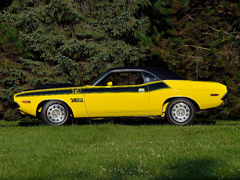 1970 Dodge Challenger T/A, 2nd Gen, Coupe, V8, car, HD wallpaper