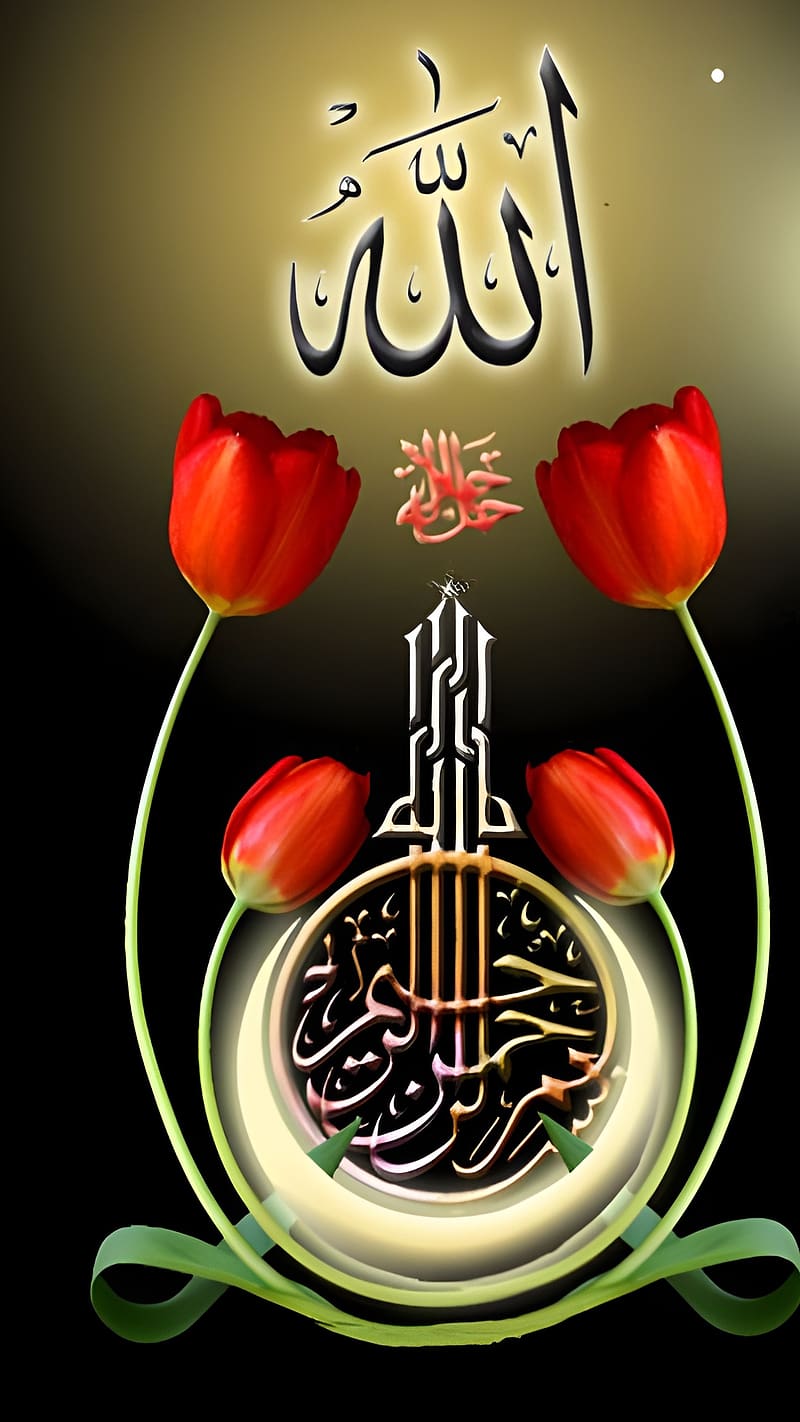 Allah Name , allah name in rose, HD phone wallpaper