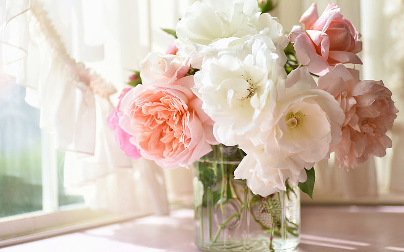 pink rose, bokeh, roses in vase, pink flowers, beautiful flowers, vase with roses, bouquet of roses, roses, HD wallpaper