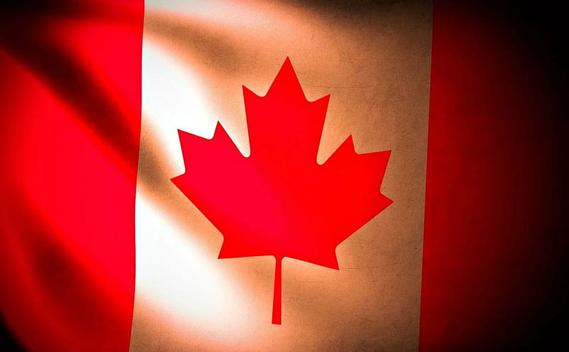 Happy Canada Day, Maple Leaf, Red, Canada, White, Flag, HD wallpaper