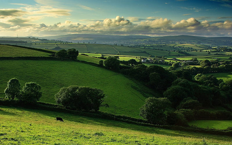 green hill -Beautiful natural scenery, HD wallpaper