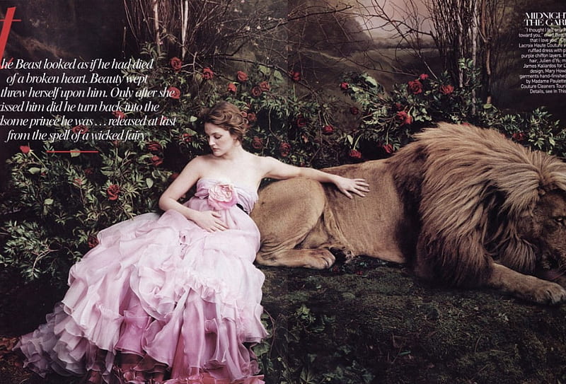 beauty and the beast, text, female, graphy, dress, drew barrymoore, lion, HD wallpaper