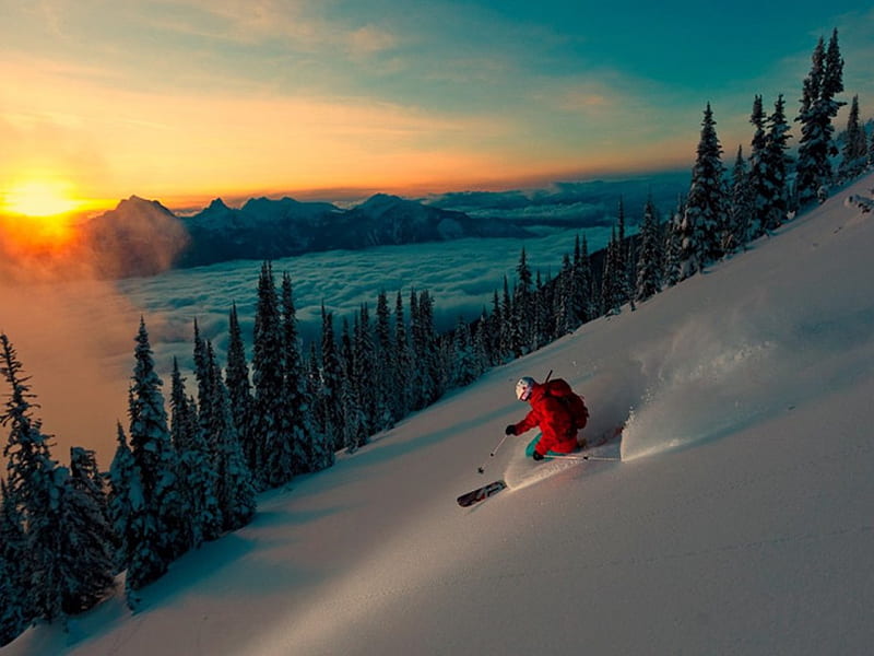 Into the sunset, skier, snow, slope, sunset, trees, HD wallpaper